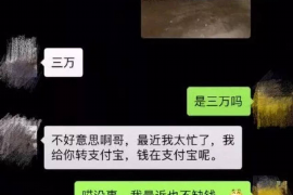 静安为什么选择专业追讨公司来处理您的债务纠纷？